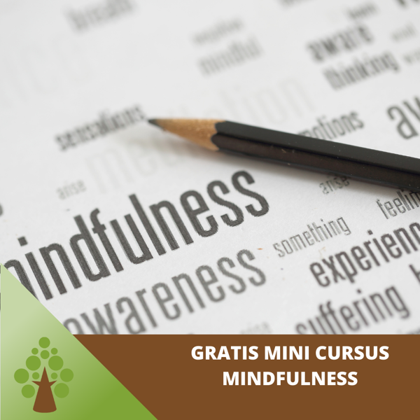 GRATIS mini cursus MindFulness